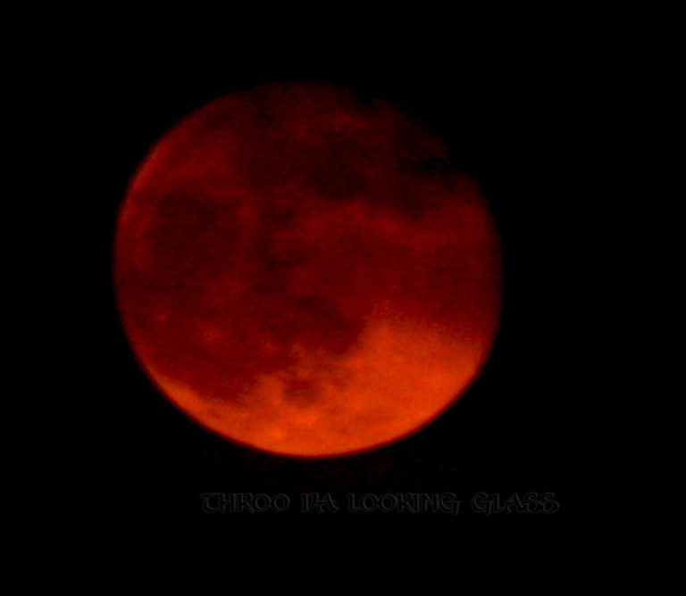 Day 222 Red Moon Phenomenal World